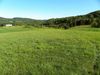 4131 State Rte 16 photo